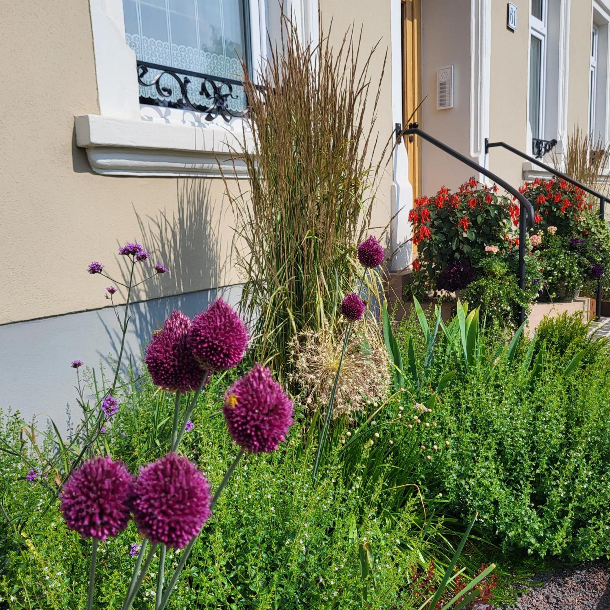 Komfort Ferienwohnungen Mit Wellness-Garten - Gaestehaus Am Bachlauf - Losheim Am See Extérieur photo