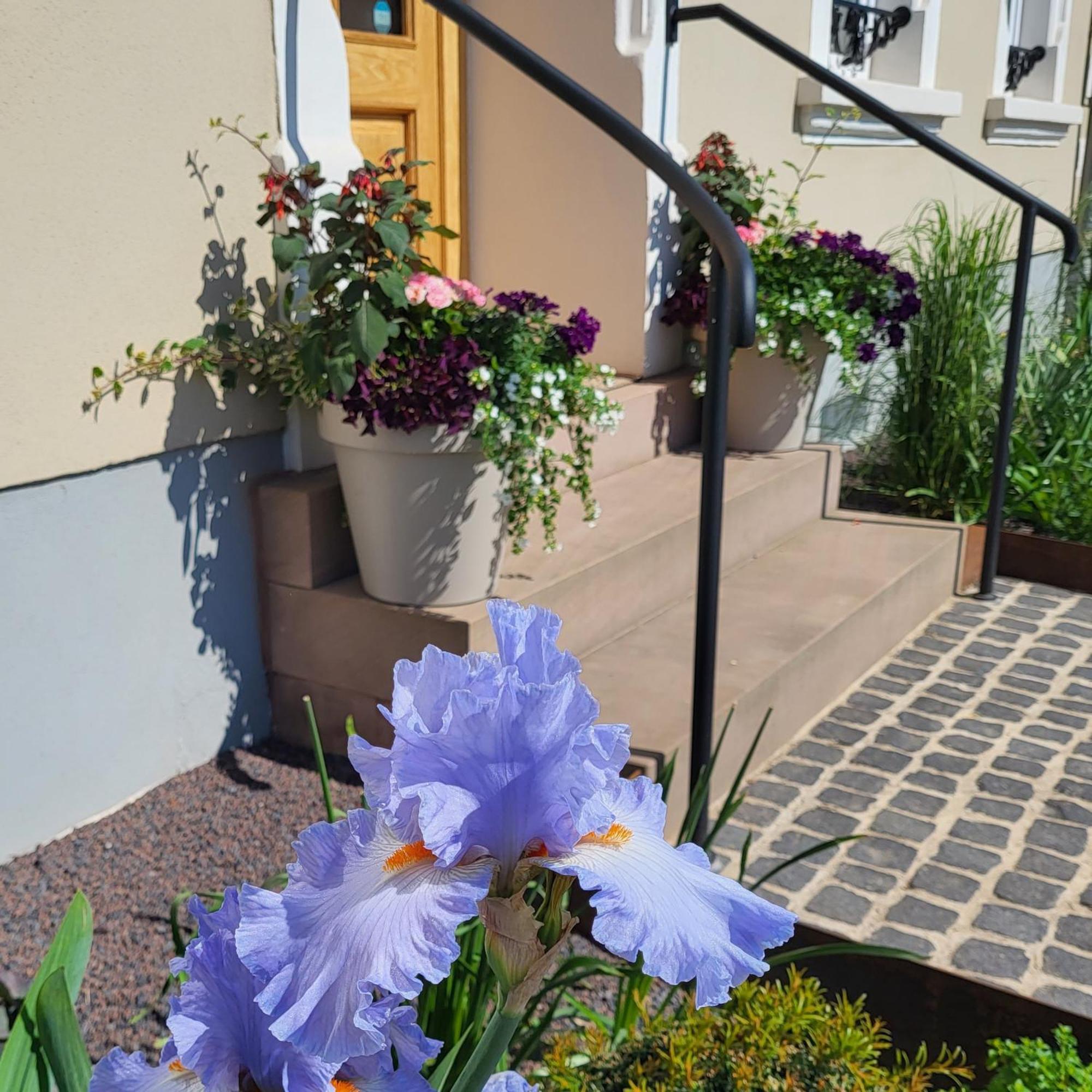 Komfort Ferienwohnungen Mit Wellness-Garten - Gaestehaus Am Bachlauf - Losheim Am See Chambre photo