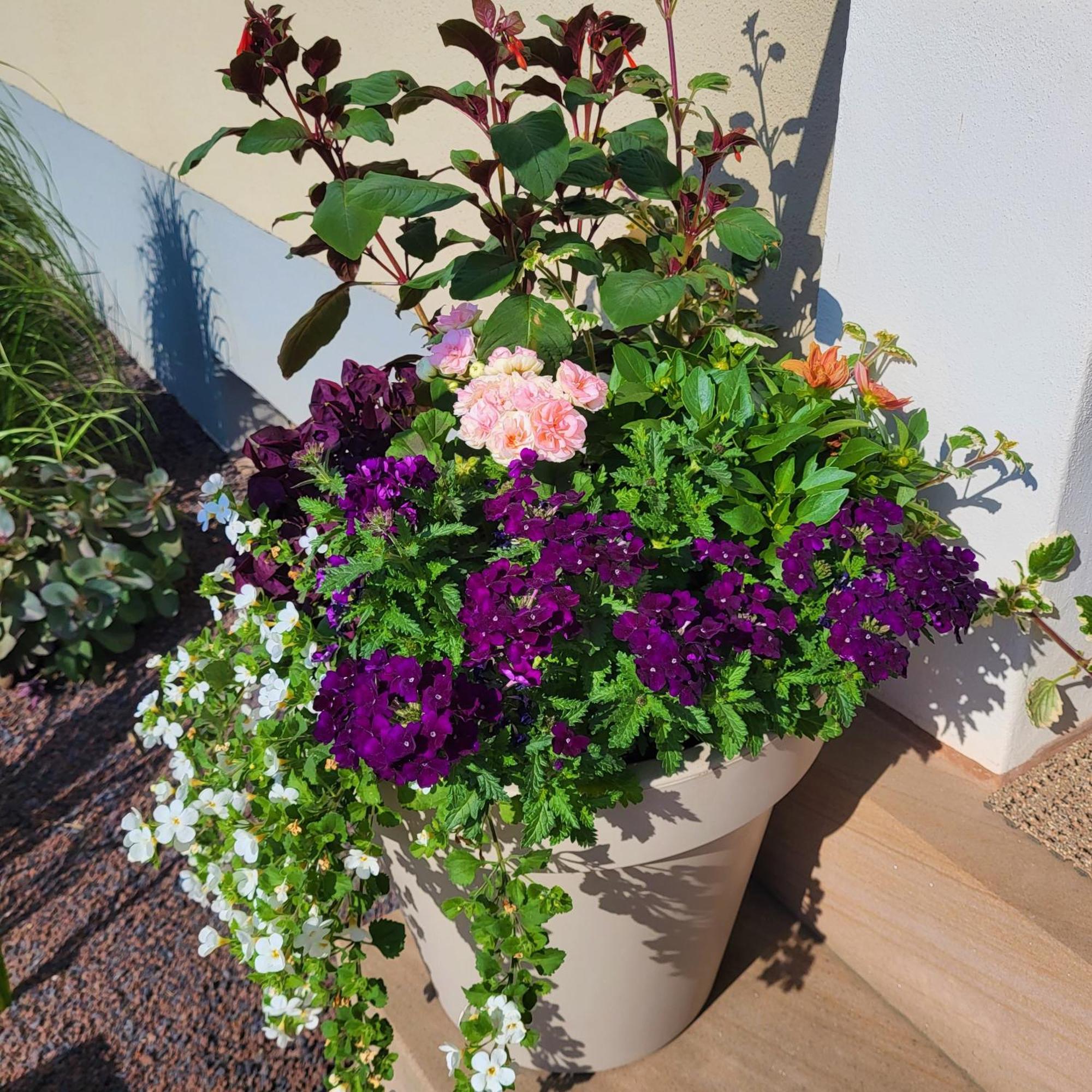 Komfort Ferienwohnungen Mit Wellness-Garten - Gaestehaus Am Bachlauf - Losheim Am See Chambre photo